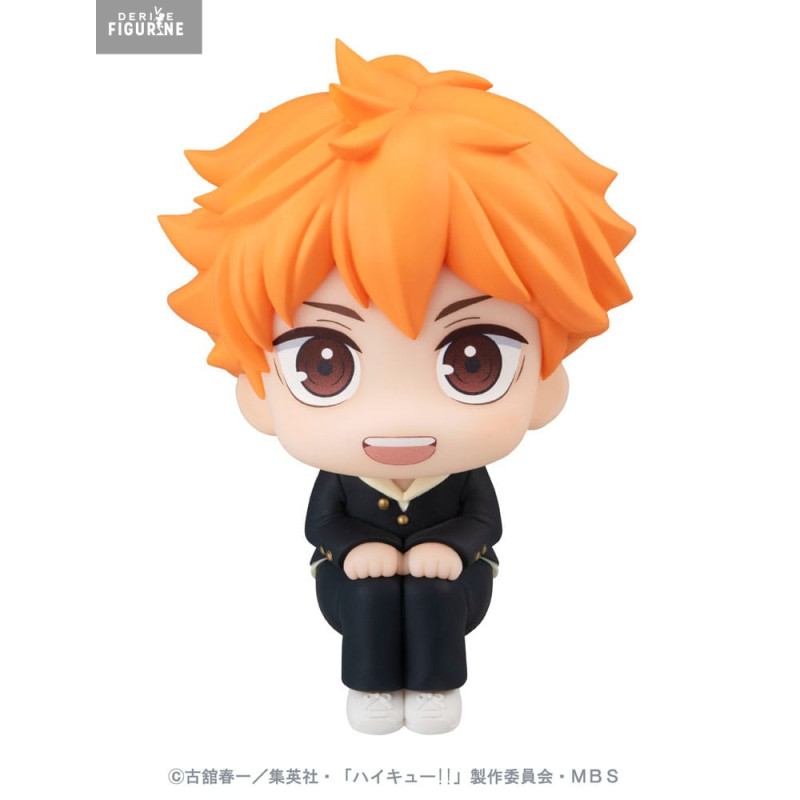 Haikyu!! - Shoyo Hinata...