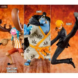 One Piece - Chopper, Sanji...
