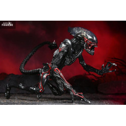 Aliens - Night Cougar Alien...
