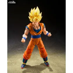 Dragon Ball Z - Super...