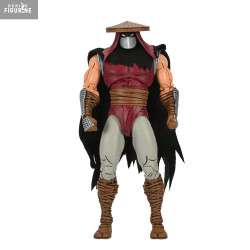 Teenage Mutant Ninja...