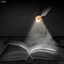 Light LED Clip-On Harry...