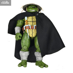 Teenage Mutant Ninja...