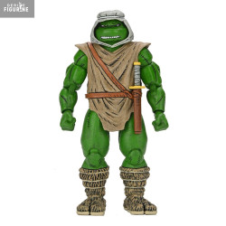 Teenage Mutant Ninja...