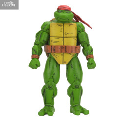 Teenage Mutant Ninja...