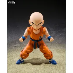 Dragon Ball - Figurine...
