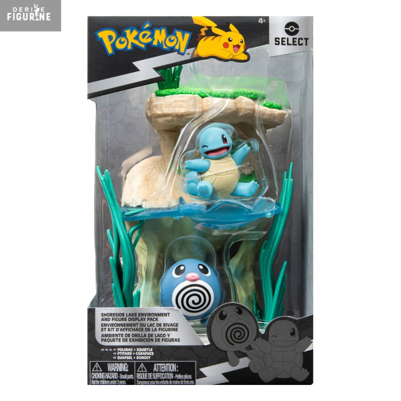 Pokémon - Environment...