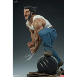 Marvel X-Men - Figurine...