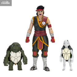 Teenage Mutant Ninja...