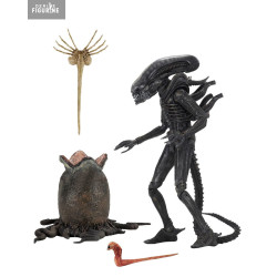 Alien 1979 - Big Chap...