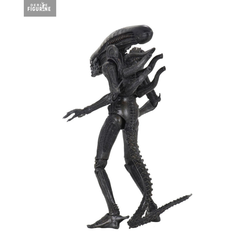 Alien 1979 - Big Chap...