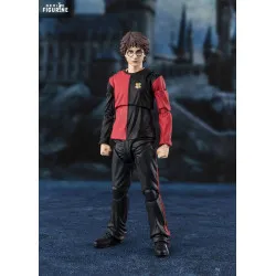 PREORDER - Harry Potter and...