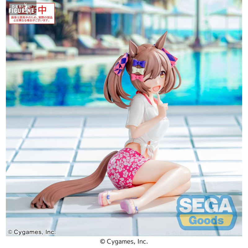 Uma Musume Pretty Derby -...