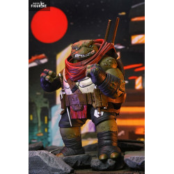 Teenage Mutant Ninja...