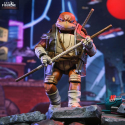 Teenage Mutant Ninja...