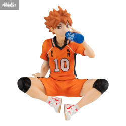 Haikyu!! - Shoyo Hinata...