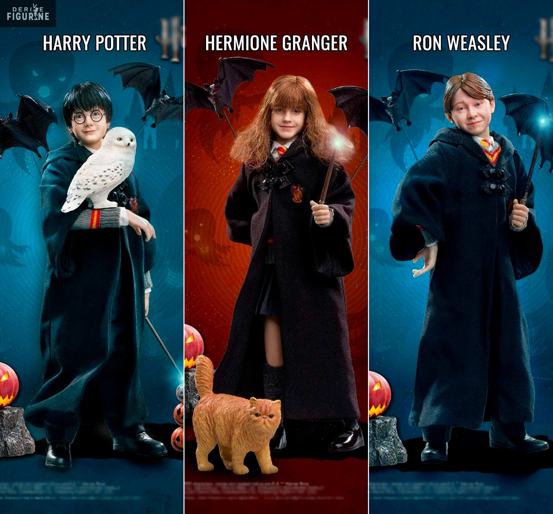 Mattel Harry Potter Ron & Hermione Heads + Outfit set Barbie Ken Doll