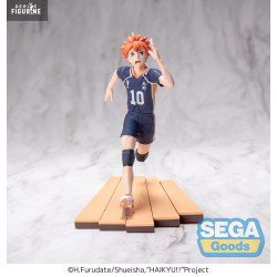 Haikyu!! - Shoyo Hinata...