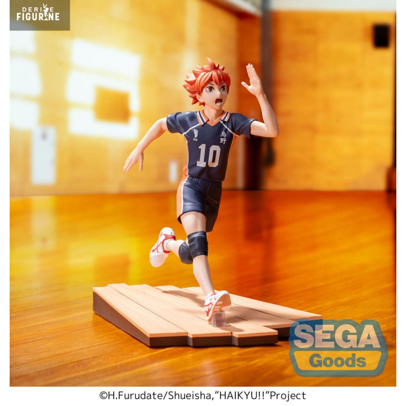 Haikyu!! - Shoyo Hinata...