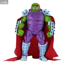 Teenage Mutant Ninja...