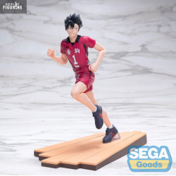 Haikyu!! - Tetsuro Kuroo...