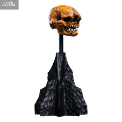 PREORDER - The Lord of the...