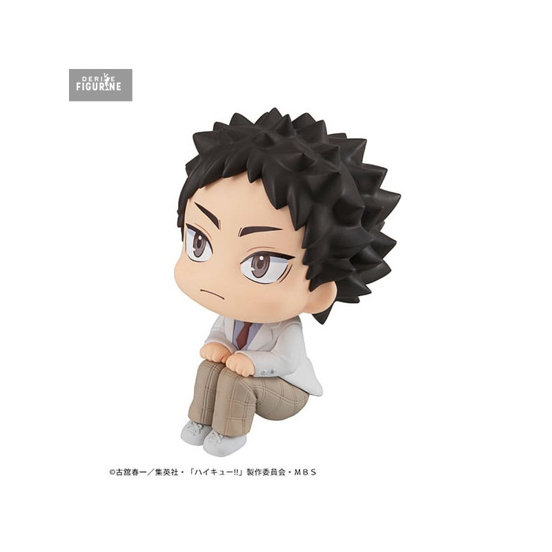 Haikyu!! - Hajime Iwaizumi...