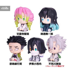 Demon Slayer: Kimetsu no...