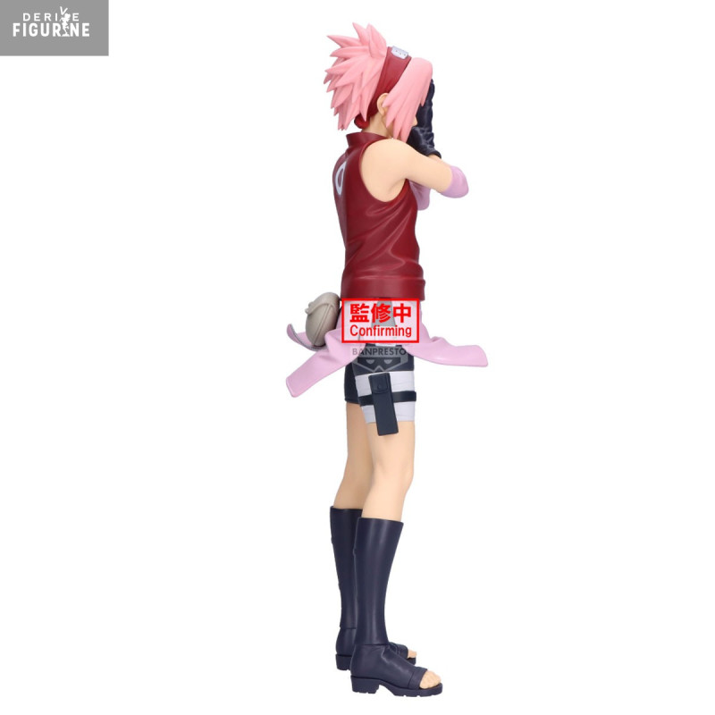 Naruto Shippuden - Sakura...