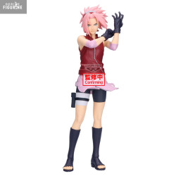 Naruto Shippuden - Sakura...