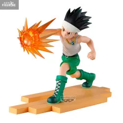 Hunter x Hunter - Gon...