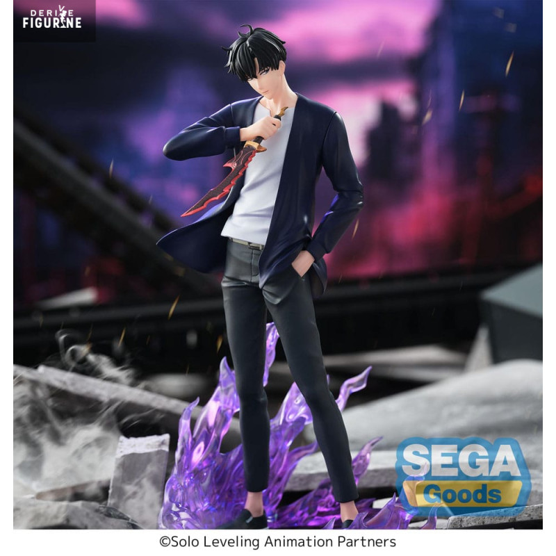 Solo Leveling - Sung Jinwoo...