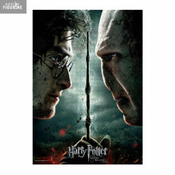Harry Potter - Puzzle Harry...