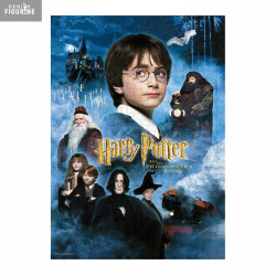 Harry Potter - Puzzle Harry...