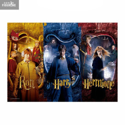 Harry Potter - Puzzle Ron,...