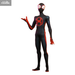 Marvel, Spider-Man Across...