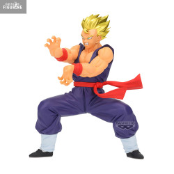 Dragon Ball Super -...