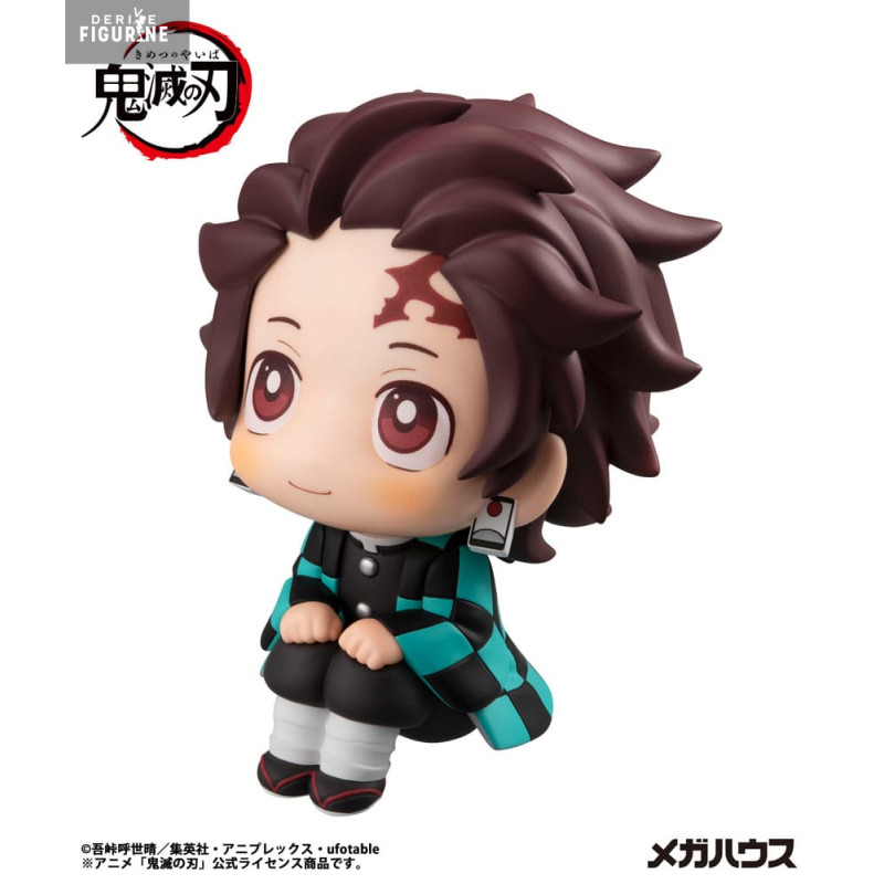 Demon Slayer Kimetsu no...