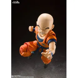 Dragon Ball Z - Figurine...