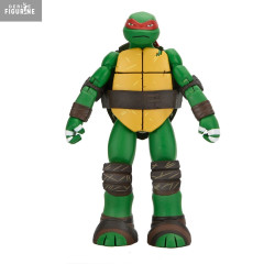 Teenage Mutant Ninja...