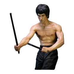 PREORDER - Enter the Dragon...
