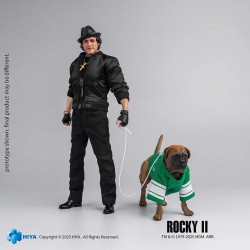 PRE ORDER - Rocky II -...
