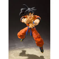 Dragon Ball Z - Son Goku...