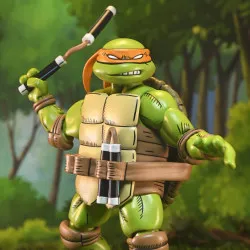 PRÉCOMMANDE - Les Tortues...