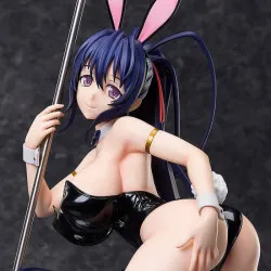 PRE ORDER - High School DxD...