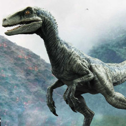 PRE ORDER - Jurassic World...