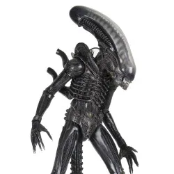 PREORDER - Alien 1979 - Big...