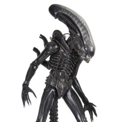 PRÉCOMMANDE - Alien 1979 -...