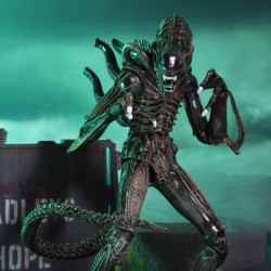 PRÉCOMMANDE - Aliens (1986)...