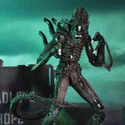 PREORDER - Aliens (1986) -...